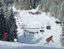 ski